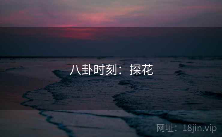 八卦时刻：探花